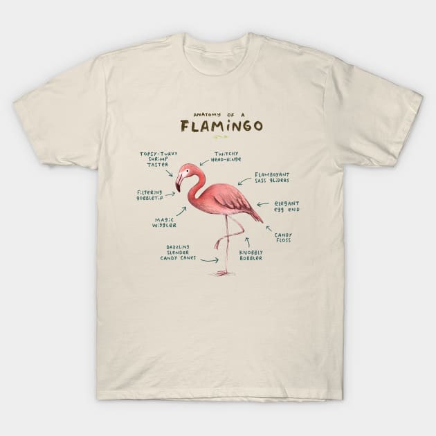 Anatomy of a Flamingo T-Shirt by Sophie Corrigan